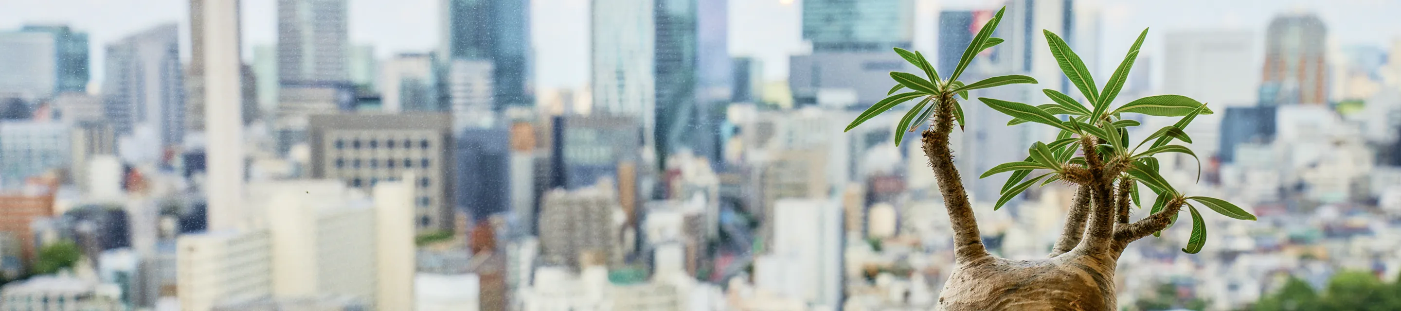 メインビジュアル